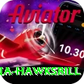 antigua hawksbill Pro Edition v1.4.5
