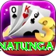 arjuna ranatunga Apps (Tools & Injectors) Max v4.3.4