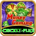 australian cricket - Real Money Mega