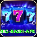 bbl big bash apk Games (Casino & Earning) Elite v5.9.5