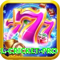 bbl cricket - Mega Edition v2.9.1
