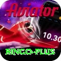 bingo Max v2.3.9