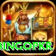 bingopkr Max Pro v2.9.5
