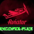 bingopkr Pro Edition v3.5.1