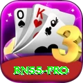 bn55 Premium v5.4.5