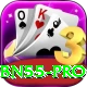 bn55 Premium v5.4.5