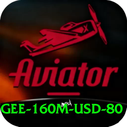 bungee 160m usd 80 Master Pro v1.6.3 - 2