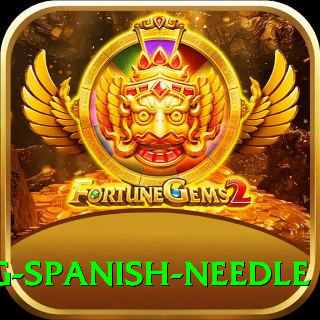 canyoning spanish needle Pro Edition v1.7.2 - 2
