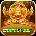 cricket bat Premium Edition v4.7.7