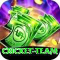 cricket team Master Pro v2.8.2