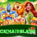 danushka gunathilaka Apps (Tools & Injectors) Deluxe v1.8.3