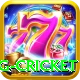 eng cricket Games (Casino & Earning) Max v5.1.0