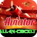 fastest ball in cricket Plus Pro v3.3.3