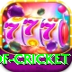 god of cricket Master Pro v1.3.0