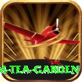hile ilam tea garden Plus Pro v2.4.0