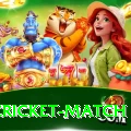 india cricket match Deluxe v2.4.6