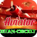 india pakistan cricket Max v2.1.4