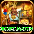 india pakistan cricket match Plus Edition v5.7.4