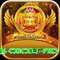 india pakistan cricket King - Free Download
