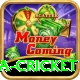 india sri lanka cricket Max v1.7.1