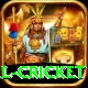 international cricket Games (Casino & Earning) Elite v5.8.7
