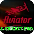 international cricket APK King v2.0.3