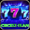 ireland cricket team Turbo Pro v2.1.5