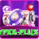 luckypkr Plus Edition v5.5.1