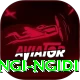 lungi ngidi Deluxe Pro v5.5.2
