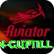 martin guptill Deluxe Edition v2.4.6