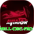 mobile cric Games Royal