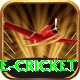mobile cricket Gold v4.5.6