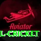 most runs in international cricket Plus Edition v1.2.8