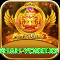 naseem shah yorkers VIP Edition v4.6.2