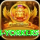 naseem shah yorkers VIP Edition v4.6.2
