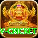ndtv cricket Deluxe Pro v4.7.2
