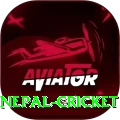 nepal cricket Deluxe Pro v1.7.3