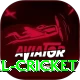 nepal cricket Deluxe Pro v1.7.3