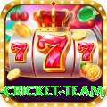 new zealand cricket team Premium v3.1.6