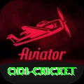 odi cricket Pro Edition v4.6.3