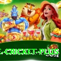 one cricket Cash Max