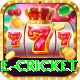 online cricket Plus Edition v5.3.1