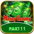 pak111 VIP v2.0.6
