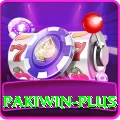 pakiwin VIP Pro v4.2.6