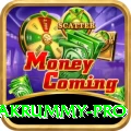 pakrummy Elite Casino App