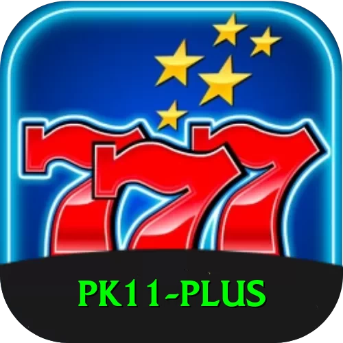 pk11 Premium Edition v3.3.5 - 2