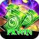 PKWin Deluxe Pro vv2.5.4