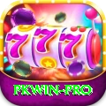 pkwin Premium Edition v4.9.1