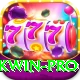 pkwin Premium Edition v4.9.1