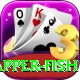 red snapper fish Max Pro v5.6.6